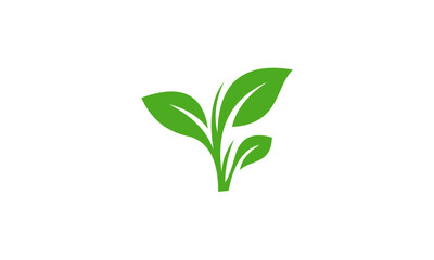 Green leaf logo