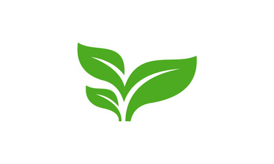 Green leaf logo