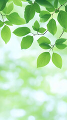 Vibrant Green Leaf Illustration