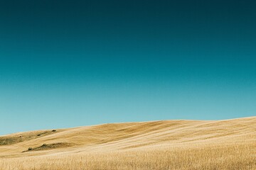 Serene landscape of golden fields under a clear blue sky, conveying tranquility and nature's beauty
