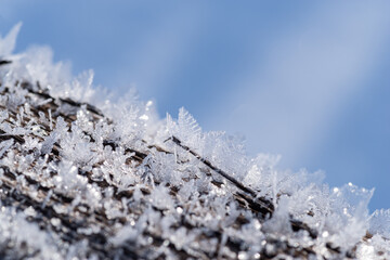 美しい雪の結晶