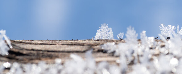 美しい雪の結晶