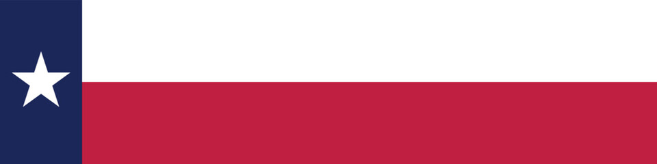 Texas flag long banner digital vector illustration