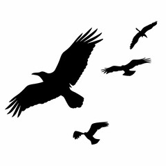 Obraz premium Three birds flying in the sky. The birds are black. The sky is white