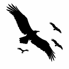 Obraz premium A black bird with a black head and a black body. It is sitting on a white background