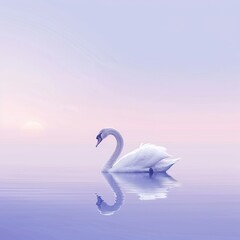Fototapeta premium Serene swan on calm water at sunrise.
