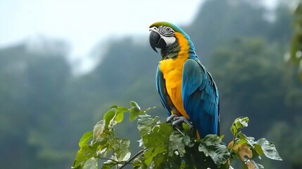 Vibrant blue and yellow macaw perched on branch against a blurred background