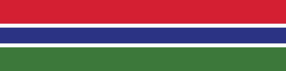 Gambia flag long banner digital vector illustration