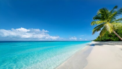  Design a vibrant tropical beach scene with crystal-clear turquoise waters, white sandy shore(