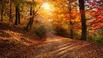 Obraz premium A peaceful autumn pathway covered in golden, orange, and red leaves.