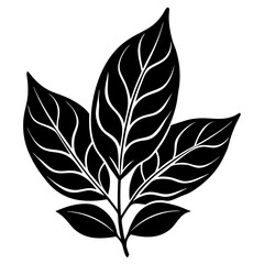 black and white leaves