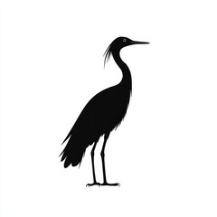 Obraz premium Black Silhouette of a Bird Standing Tall