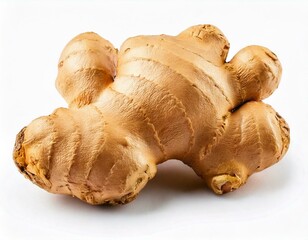 Fresh Organic Ginger Root Spicy Culinary Ingredient, Herbal Remedy