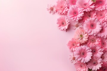 Fototapeta premium Pink floral flower petal.