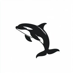 Fototapeta premium Orca Whale Silhouette Leaping Gracefully Ocean