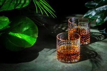 Japanese whiskey single malt in rocks glass. Dark green background with tropical leaves