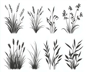 Elegant Grass and Plant Silhouettes
