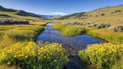 Serene mountain stream flows through wildflowers, sunny valley backdrop, nature scene, travel