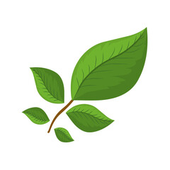 Fototapeta premium green leaves vector