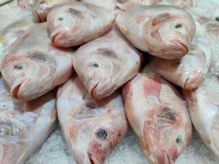 Fresh Fish Close-Up on Ice at a Local Seafood Market Display