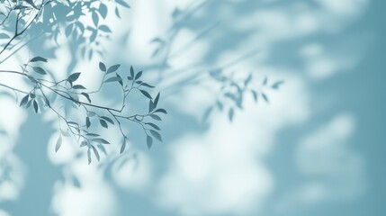 Delicate Shadows with Leaf Patterns on Soft Blue Background