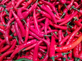Vibrant Red Chili Peppers in Abundant Display for Culinary Inspiration