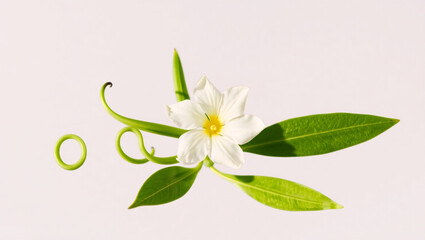 Obraz premium lily of the valley