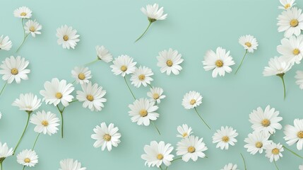 Obraz premium White daisies scattered over a soft pastel green background, evoking a fresh and minimalist floral vibe.
