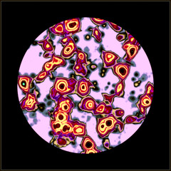 Microscopic view of floating influenza virus cells, bacteria and cells and viruses under laboratory microscope