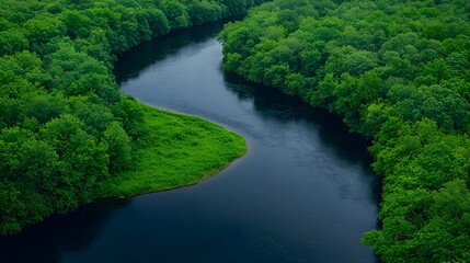 Fototapeta premium Serene Aerial View of Winding River Surrounded by Lush Green Forest