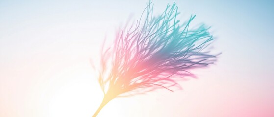 Obraz premium Pastel Rainbow Feather Bloom Soft Dreamy Abstract Background