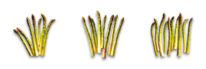 Isolated asparagus on transparent background, a fresh and healthy vegetable