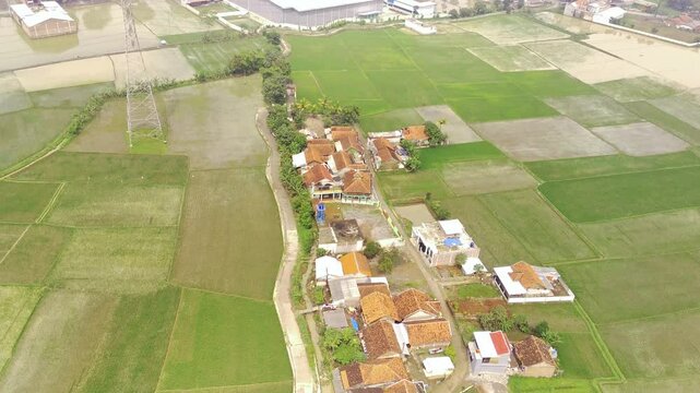 Drone Footage of Small Village and Lush green crops. Vast Agricultural Fields and settlements in rural area of ​​West Java, Indonesia. High Angle Views. Aerial Landscape in 4K Resolution.