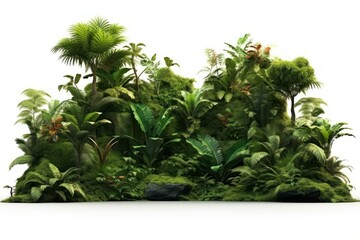 Jungle vegetation outdoors nature.