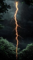 Fototapeta premium Dramatic Night Sky Lightning Strike Over Trees