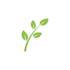 Green leaf logo vector template element symbol design