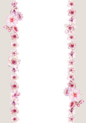 Frame of pink cherry blossoms of the Japanese Hanami festival isolated on a white background. Botanical design in lilac pink color, in sunrise palette. Watercolor template for wedding