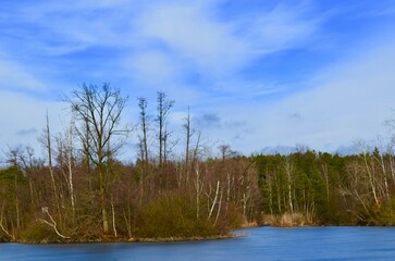 lake landscape, autumn frozen pond, blue sky background