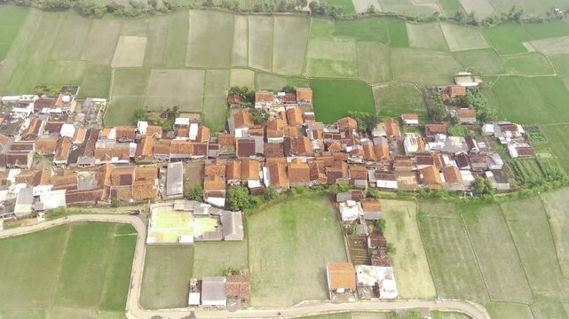 Drone Footage of Small Village and Lush green crops. Vast Agricultural Fields and settlements in rural area of ​​West Java, Indonesia. High Angle Views. Aerial Landscape in 4K Resolution.