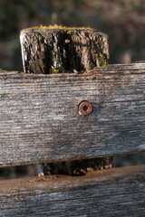 old wood texture