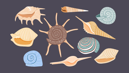 Set of seashells in hand drawn style. Vector design elements for print, stickers, greeting cards