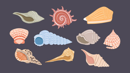 Set of hand drawn seashells. Vector design elements for print, stickers, greeting cards