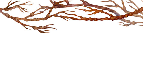 Brown tree branches without leaves and flowers isolated on a white background. Floral botanical frame. Watercolor template for flowering cherry, apple, peach, almond trees, Halloween, landscaping.