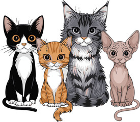 A set of Cat vector illustration 