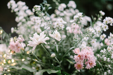 White and Pink Flowers