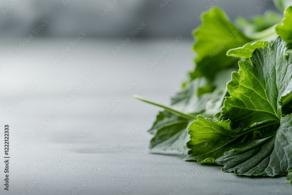 Poster close-up view of fresh rapini on a clean white surface, emphasizing its vibrant green color and text
