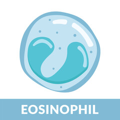 Type of white blood cells Eosinophil Design Illustration