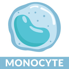Type of white blood cells Monocyte Design Illustration