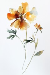 Elegant Watercolor Flower Illustration with Soft Yellow and Orange Tones