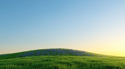 Naklejka premium Sunset over a field of purple flowers